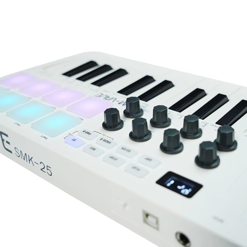 Clavier arrangeur professionne - Midi Controller Pad avis et prix